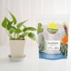 Philodendron Plant Potting Soil Mix (8 Quarts), Special Blend for Heart Shape Philodendron Plants Et Al. - Image 2