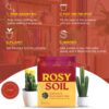 Cactus and Succulent Potting Mix for Houseplants - Fast Draining Soil for Succulents, Aloe Vera, Indoor Plant - Root Boosting Biochar for Drought Tolerant Growth - Peat Free (1Ct, 4 Quart) - Image 4