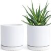 Set of 2 Plants Pot, 6 Inch Ceramic Planter Pot for Plants with Drainage Hole and Saucer, White, 94-V-S-1