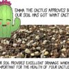 Cactus Soil Potting Mix with Mycorrhizal Fungi - 4 Quarts of Soil for Succulents and Cactus - High Drainage, Slightly Acidic, Soil for Healthy and Happy Indoor Plants - Image 4