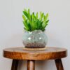 Succulent Pots, 4 Inch Ceramic Plant Pots and Drainage Hole with Bamboo Tray, Colorful Flower Planter Pot, Pack of 6 (Plants Not Included) - Image 6