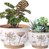 YBX 8 Inch + 6 Inch White&Terracotta Flower Pots, Succulent Ceramic Plant Pots with Drainage Holes, Terracotta Planters for Indoor Plants