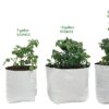 Grow Bags Thick Plastic Grow Bags for Potting, Seedlings, Rootings, 20 Gallon 10 Pack, Black Interior and White Exterior - Image 6