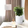 Set of 2 Plants Pot, 6 Inch Ceramic Planter Pot for Plants with Drainage Hole and Saucer, White, 94-V-S-1 - Image 2