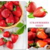 1100Pcs Mixed Fruit Seeds Berry Seeds for Planting 200Pcs Strawberry 200Pcs Raspberry 200Pcs Mulberry 200Pcs Blueberry 200Pcs Elderberry 10Pcs Cherry - Individually Packaged - Image 2