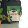 Houseplant Potting Mix: Fertilized, Perlite Soil for Indoor Gardening, Designed to Be Less Prone to Gnats, 4 Qt. - Image 6