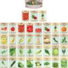 Set of 43 Assorted Vegetable & Herb Seed Packets - over 10,000 Seeds! - Includes Mylar Storage Bag - Deluxe Garden Heirloom Seeds - 100% Non-Gmo