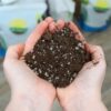 Citrus Tree Potting Soil Mix (8 Quarts), Special Blend for Indoor Oranges, Lemons, Limes and More - Image 4
