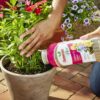 Smart-Release Plant Food plus Outdoor & Indoor, 2 Lb. - Image 4