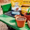 Enhanced Perlite Mix with Diatomaceous Earth & Essential Nutrients – a Soil Amendment That Promotes Robust Growth for Plants, Transplanting, Garden Beds & Seedlings (16 QT) - Image 5