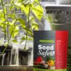 Survival Garden Heirloom Seeds, Victory Garden Seeds - 35 Varieties, 17,000+ Vegetable and Fruit Seeds for Planting Great Emergency Preparedness Items and Bugout Bag Supplies Gear by - Image 7