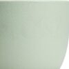 Plastic Planter 10/9/8/6 Inch Flower Pot Indoor Plastic Pots for Plants with Drainage Hole and Tray Modern Decorative for Gifts Succulents Flowers Cactus, Green - Image 4