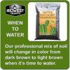 Cactus Succulent Natural Potting Soil Mix (Made in USA) (4 Dry Quarts) - Image 4
