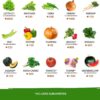 27,500+ Heirloom Vegetable & Fruits | 55 Variety Garden Survival Gear and Supplies Prepper Supplies | Non GMO Gardening Seed Starter Kit | Gifts for Men Women - Image 9