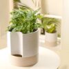 Self Watering Plant Pot: 8 Inch Ceramic Planter with Drainage Hole & Water Storage plus for Indoor & Outdoor Plants - Cylinder round Flower Pot for Succulent/Herbs/Violets - White & Brown - Image 6