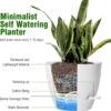 Large Self Watering Pots, 12/10/9 Plastic Planters with High Drainage Holes and Deep Reservoir for Indoor Outdoor Garden Plants and Flowers, White - Image 4