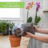 Houseplant Mulch - Small Bark Wood Chips for Indoor, Patio, Potting Media, and Much More! (8Qts) - Image 5