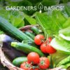 Survival Garden Heirloom Seeds, Victory Garden Seeds - 35 Varieties, 17,000+ Vegetable and Fruit Seeds for Planting Great Emergency Preparedness Items and Bugout Bag Supplies Gear by - Image 3