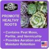 Cactus Succulent Natural Potting Soil Mix (Made in USA) (4 Dry Quarts) - Image 3