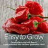 Pepper Seeds for Planting 8 Varieties Pack, Jalapeno, Habanero, Bell Pepper, Cayenne, Hungarian Hot Wax, Anaheim, Serrano, Cubanelle Heirloom Seeds for Planting in Garden Non GMO - Image 4