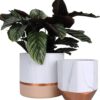 White Ceramic Flower Pots - 6.7 + 5.4 Inch Indoor Planters, Plant Containers in a Marble Ink Pattern with Rose Gold and Pink Detailing