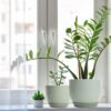 Plastic Planter 10/9/8/6 Inch Flower Pot Indoor Plastic Pots for Plants with Drainage Hole and Tray Modern Decorative for Gifts Succulents Flowers Cactus, Green - Image 5