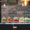 Cute Ceramic Succulent Garden Pots, Planter with Drainage and Attached Saucer, Set of 5 -Plants Not Included (Round) - Image 4