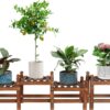 Wood Flower Stand Small Plant Stand Indoor Outdoor Plant Shelf Low Window Shelf for Plants Windowsill Plant Rack for Patio Balcony Hallway Garden (45.5”Long,Multiple Combination Way,4 Tiers)
