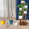 5 Tiered Tall Plant Stand for Indoor, Wood Plant Shelf Corner Display Rack, Multi-Tier Planter Pot Holder Flower Stand for Living Room Balcony Garden Patio (Walnut) - Image 7