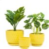 Yellow Ceramic Flower Pots with Saucers, Modern round Ceramic Succulent Plant Pots with Honeycomb Inspired Texture Design, Small to Medium Sized, Set of 3