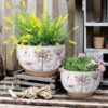 YBX 8 Inch + 6 Inch White&Terracotta Flower Pots, Succulent Ceramic Plant Pots with Drainage Holes, Terracotta Planters for Indoor Plants - Image 6
