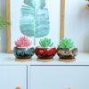 Cute Ceramic Succulent Garden Pots, Planter with Drainage and Attached Saucer, Set of 5 -Plants Not Included (Round) - Image 8
