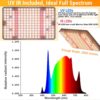 Grow Lights for Indoor Plants Full Spectrum, Table Top Plant Lights for Indoor Growing, 208PCS Leds Desk Grow Lights for Seed Starting Seedlings Vegetable, Daisy Chain, Adjustable Height - Image 3
