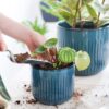 Ceramic Planters, Set of 3 Plant Pots for Indoor Plants, 8.3+6.9+5.7 Inch Flower Pots with Drainage Holes, Medium Cylinder Planters Pot for Outdoor Indoor House Plants, Reactive Glaze Blue - Image 8
