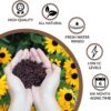 Organic Coco Coir by Coco Bliss - Compressed Coco Coir Brick with Low EC and Ph Balance - High Expansion for Flowers, Herbs, and Planting - Renewable Coconut Soil (10Lb Block) - Image 6