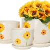 Plant Pots,Set of 3 Ceramic Flower Pots for Indoor Plants,4+5+6 Inch Planter with Drainage Hole Saucer,Garden Pots Catus Planters (Sunflower Set of 3)