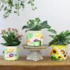 Colorful Bees and Sunflowers Plant Pots, Cute Unique Succulent Planters with Drainage, Rainbow Small Mushrooms Flower Planters Pots for Indoor Plants, Funny Eclectic Home Decor - Image 6
