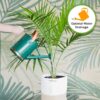 Indoor Plant Soil 4Qt | Perfectly Balanced Potting Mix | Gardening Substrate for All Varieties of Live Houseplants - Image 4