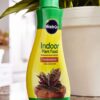 100055 Indoor Plant Food, (3) - Image 2