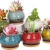 Succulent Pots, 4 Inch Ceramic Plant Pots and Drainage Hole with Bamboo Tray, Colorful Flower Planter Pot, Pack of 6 (Plants Not Included)
