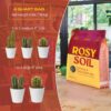 Cactus and Succulent Potting Mix for Houseplants - Fast Draining Soil for Succulents, Aloe Vera, Indoor Plant - Root Boosting Biochar for Drought Tolerant Growth - Peat Free (1Ct, 4 Quart) - Image 6