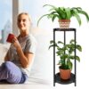 2 Tier Plant Stand Indoor Outdoor Metal Black for Plants Multiple Tall Tiered Planter Shelf Rack Iron Potted Flower Pot Holder for Corner, Patio, Balcony, Living Room - Image 6