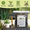 Aloe Vera Plant Potting Soil Mix Peat Moss & Perlite (½ Gallon / 2 Quarts). - Image 3