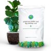 Fiddle Leaf Fig Potting Soil Mix by Fiddle Leaf Fig Plant Resource | Premium Organic Soil with Enhanced Drainage for Fast Growth and Healthy Roots (Large Bag)