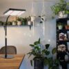 Grow Lights for Indoor Plants Full Spectrum, Table Top Plant Lights for Indoor Growing, 208PCS Leds Desk Grow Lights for Seed Starting Seedlings Vegetable, Daisy Chain, Adjustable Height - Image 2