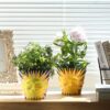 Sun Face Planters Pots Head Unique Head Planter with Drainage, Cute Flower Plant Pot for Indoor & Outdoor Plants, Funny Succulent Gardening Pots for Plant Lover Gifts (Purple Back,5.5Inch) - Image 5