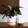 White Ceramic Flower Pots - 6.7 + 5.4 Inch Indoor Planters, Plant Containers in a Marble Ink Pattern with Rose Gold and Pink Detailing - Image 3