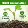27,500+ Heirloom Vegetable & Fruits | 55 Variety Garden Survival Gear and Supplies Prepper Supplies | Non GMO Gardening Seed Starter Kit | Gifts for Men Women - Image 3