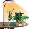 Grow Lights for Indoor Plants Full Spectrum, Table Top Plant Lights for Indoor Growing, 208PCS Leds Desk Grow Lights for Seed Starting Seedlings Vegetable, Daisy Chain, Adjustable Height