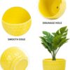 Yellow Ceramic Flower Pots with Saucers, Modern round Ceramic Succulent Plant Pots with Honeycomb Inspired Texture Design, Small to Medium Sized, Set of 3 - Image 6